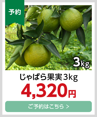 果実3kg
