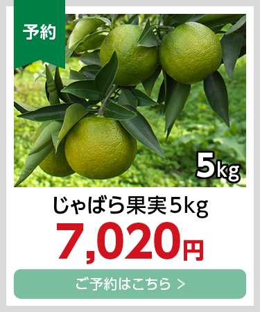 果実5kg