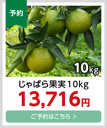 果実10kg